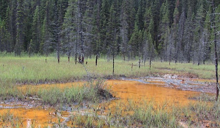 Slideshow Kootenai British Columbia Paint Pots 12 445x260 18439 slideshow kootenai british columbia paint pots 12 445x260