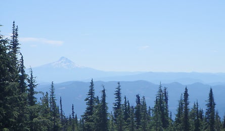 Slideshow Mt Adams Mthood 3 445x260 18457 slideshow mt adams mthood 3 445x260
