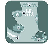 "october 09 find trout 200x170"