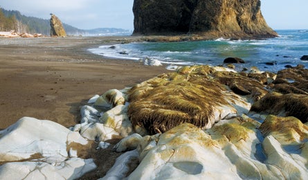 "november 09 nat park coastal hike 445x260"