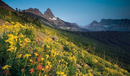 "november 09 nat parks opener 445x260"