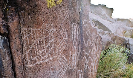 "november 09 rip n go badwater sheep saddle 445x260"