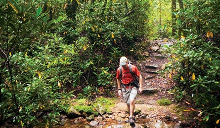 "november 09 rip n go iron feathercamp 445x260"