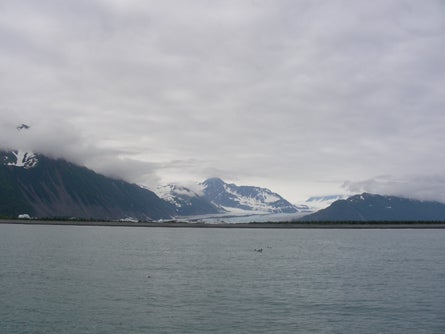 13 Bear Glacier is one of Alaskas most famous glaciers Ted Alvarez None