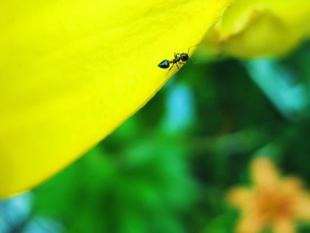 Abstract Slideshow 03 19971 abstract nature photos