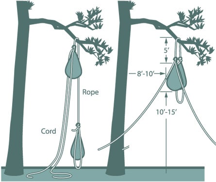 "january 2010 bear bag illo 445"