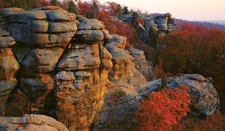 "midwest rc garden 445x260"