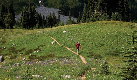 "northwest rc wonderlandtrail 445x260"