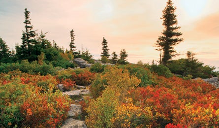 "souteast rc ravenridge 445x260"