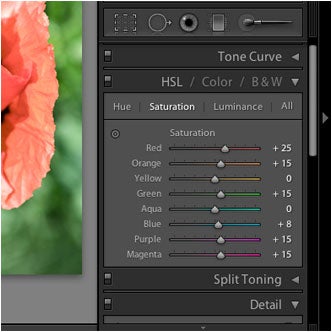 Editing Slideshow Saturation 3 445x260 22628 editing slideshow saturation 3 445x260