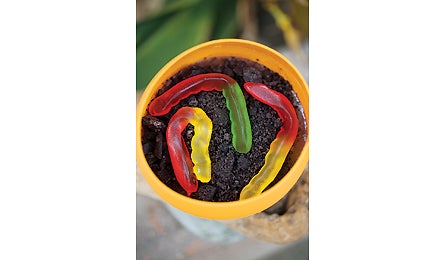 "Gear Guide 2010 ESS Coleman's Dirt & Worms 445x260"