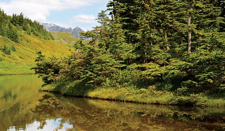 "march 2010 alaska lost lake 445x260"