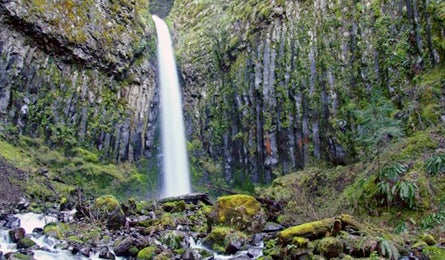 Portland Spring 445 23266 portland_spring_hikes