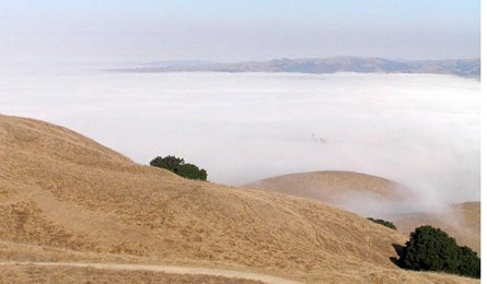 Sf Spring Hike 445 23267 san_francisco_mission_peak