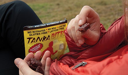 Editors Choice 2010 Tanka Bites 445x260 23238 editors choice 2010 tanka bites 445x260