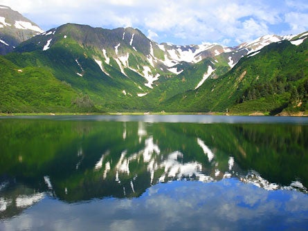 Salmon Ride Alaska 445wide 23700 Salmon Ride Alaska 445wide
