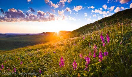 "Cloud Quiz DeYoung altocumulus 445x260"