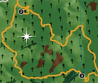 "may 2010 zones forest ca 200x170"