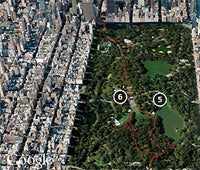 "may 2010 zones forest nyc 200x170"