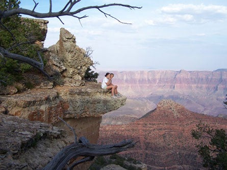 Grand Canyon 8 445wide 24238 Grand Canyon 8 445wide
