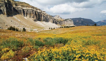 "Grand Teton National Park"