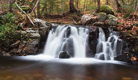 "june 2010 secret at 445x260"