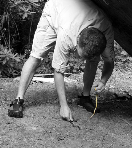 Slideshow Snake Repellent 2 24314 slideshow snake repellent 2