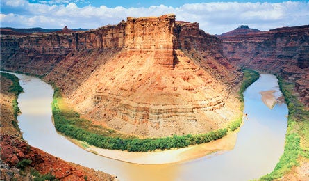 "life_list-Till-445.jpg"