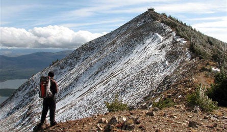 "yellowstone_chow_445.jpg"