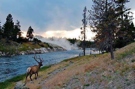 3ReaderPhoto Elk 445x295 25448 3ReaderPhoto_Elk_445x295