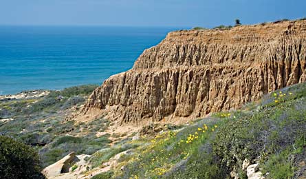 "anzaborrego_kirkendall_spring"