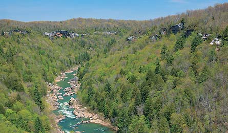 "Blackley-HoneyCreek_445.jpg"