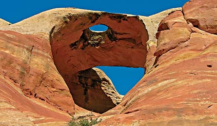 "Brooks_Rattlesnake_445.jpg"