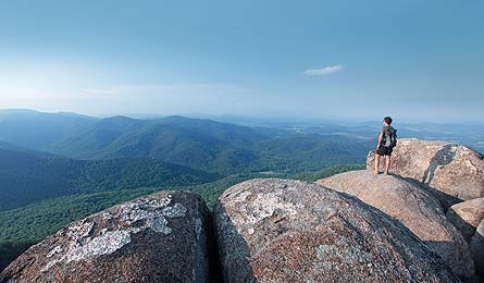 "Seaver-OldRag_445.jpg"