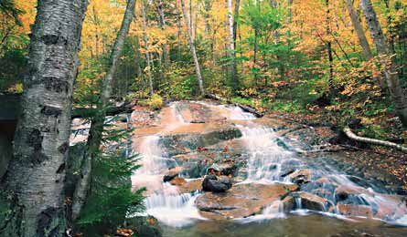 Local Hikes Manchester Nh