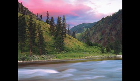 "GOSPELHUMP_Werdinger-445x260"