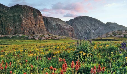 "needles_traverse_GRandall_445x260"