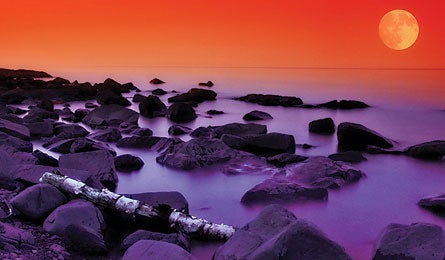 "Oct2010_ReaderPhoto_Allard_Superior_445x260"