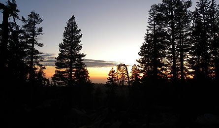 "ProfHike_dusk_445x260"