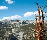 "october 2010 50 mile high sierra 200x170"