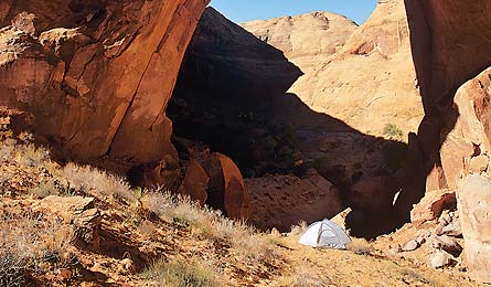 "WillowGulch-Kay-445x260"