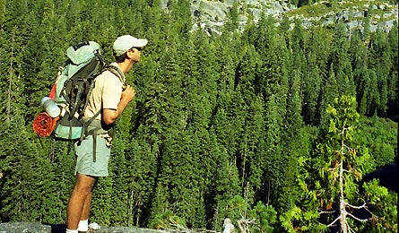 LEWONPACK_445x260 None