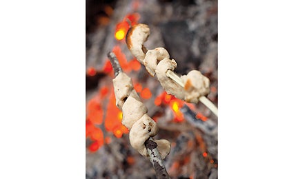 "november 2010 stick cookie 445x260"