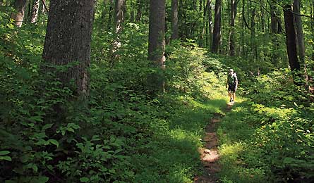 "Thornton River Trail"