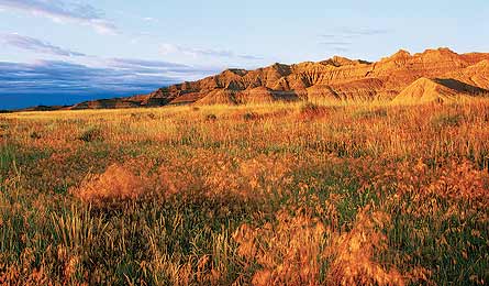 "/Volumes/Drobo/Backpacker Web/For_Web_Mag_Photos/2011/1-2011/Destinations/Great Plains/resized plains/CHaney_BisonTrail_445x260.jpg"