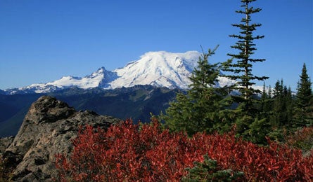 "mountrainier_david_tate_445.jpg"