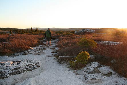 Davis DollySods 12IMG 3385.jpg 27652 Davis_DollySods_12IMG_3385.jpg