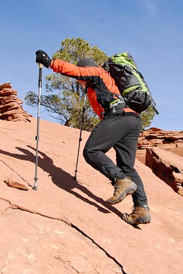 TrekkingPoles Adjust-6-3509-8-268x400 27564 TrekkingPoles_Adjust-6-3509-8-268x400