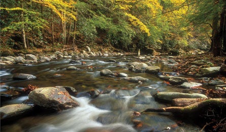 "Blackley_MiddleProng_445x260"