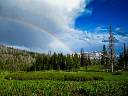 -contest Rainbow-(4) 445.jpg 27849 Reader Slideshow June 11 Rainbow after afternoon deluge in the Teton Wilderness
